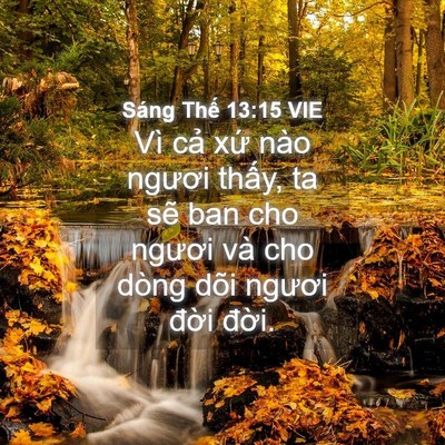 Picture 04 - Sáng Thế 13:15 VIE - Vì cả xứ nào ngươi thấy, ta sẽ ban - Bible Verse Picture