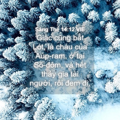 Picture 04 - Sáng Thế 14:12 VIE - Giặc cũng bắt Lót, là cháu của - Bible Verse Picture