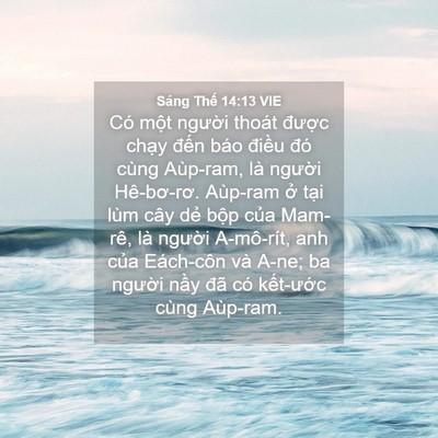 Picture 04 - Sáng Thế 14:13 VIE - Có một người thoát được chạy đến - Bible Verse Picture
