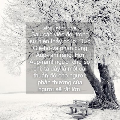 Picture 04 - Sáng Thế 15:1 VIE - Sau các việc đó, trong sự hiện thấy - Bible Verse Picture