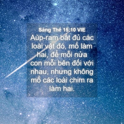 Picture 04 - Sáng Thế 15:10 VIE - Aùp-ram bắt đủ các loài vật đó, mổ - Bible Verse Picture