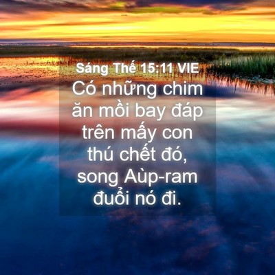 Picture 04 - Sáng Thế 15:11 VIE - Có những chim ăn mồi bay đáp trên mấy - Bible Verse Picture