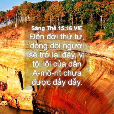 Picture 04 - Sáng Thế 15:16 VIE - Đến đời thứ tư, dòng dõi ngươi sẽ - Bible Verse Picture