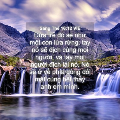 Picture 04 - Sáng Thế 16:12 VIE - Đứa trẻ đó sẽ như một con lừa - Bible Verse Picture