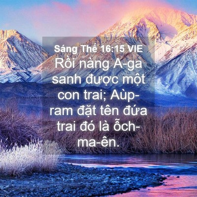 Picture 04 - Sáng Thế 16:15 VIE - Rồi nàng A-ga sanh được một con trai; - Bible Verse Picture