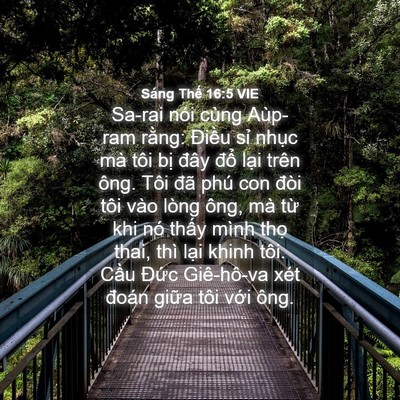 Picture 04 - Sáng Thế 16:5 VIE - Sa-rai nói cùng Aùp-ram rằng: Điều sỉ - Bible Verse Picture