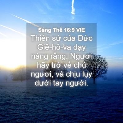 Picture 04 - Sáng Thế 16:9 VIE - Thiên sứ của Đức Giê-hô-va dạy nàng - Bible Verse Picture