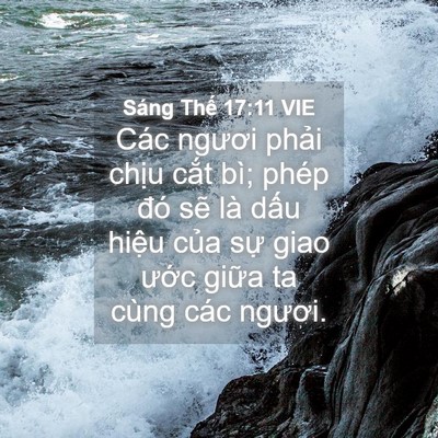 Picture 04 - Sáng Thế 17:11 VIE - Các ngươi phải chịu cắt bì; phép đó - Bible Verse Picture