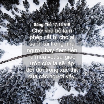 Picture 04 - Sáng Thế 17:13 VIE - Chớ khá bỏ làm phép cắt bì cho ai sanh - Bible Verse Picture