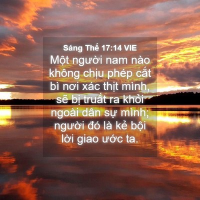 Picture 04 - Sáng Thế 17:14 VIE - Một người nam nào không chịu phép cắt - Bible Verse Picture
