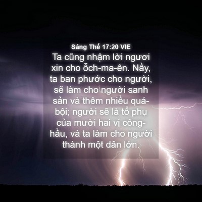 Picture 04 - Sáng Thế 17:20 VIE - Ta cũng nhậm lời ngươi xin cho - Bible Verse Picture