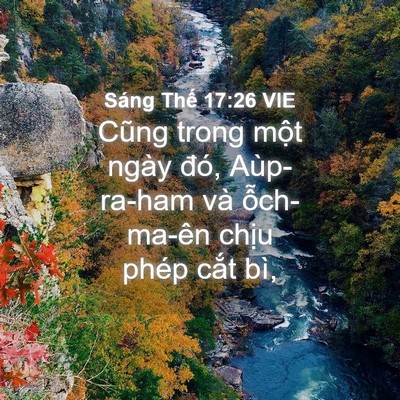 Picture 04 - Sáng Thế 17:26 VIE - Cũng trong một ngày đó, Aùp-ra-ham và - Bible Verse Picture