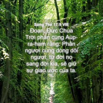 Picture 04 - Sáng Thế 17:9 VIE - Đoạn, Đức Chúa Trời phán cùng - Bible Verse Picture
