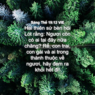 Picture 04 - Sáng Thế 19:12 VIE - Hai thiên sứ bèn hỏi Lót rằng: Ngươi - Bible Verse Picture