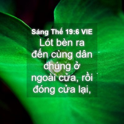 Picture 04 - Sáng Thế 19:6 VIE - Lót bèn ra đến cùng dân chúng ở ngoài - Bible Verse Picture