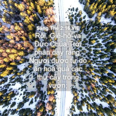 Picture 04 - Sáng Thế 2:16 VIE - Rồi, Giê-hô-va Đức Chúa Trời phán - Bible Verse Picture