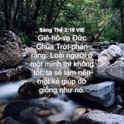 Picture 04 - Sáng Thế 2:18 VIE - Giê-hô-va Đức Chúa Trời phán rằng: - Bible Verse Picture