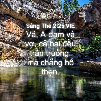 Picture 04 - Sáng Thế 2:25 VIE - Vả, A-đam và vợ, cả hai đều trần - Bible Verse Picture