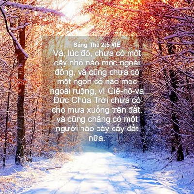 Picture 04 - Sáng Thế 2:5 VIE - Vả, lúc đó, chưa có một cây nhỏ nào - Bible Verse Picture