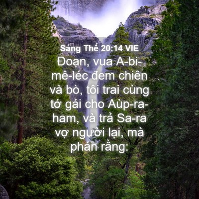 Picture 04 - Sáng Thế 20:14 VIE - Đoạn, vua A-bi-mê-léc đem chiên và bò, - Bible Verse Picture