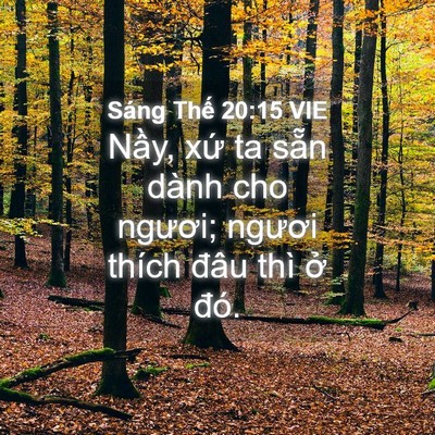 Picture 04 - Sáng Thế 20:15 VIE - Nầy, xứ ta sẵn dành cho ngươi; ngươi - Bible Verse Picture