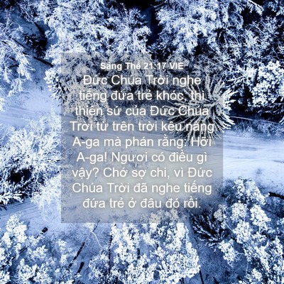 Picture 04 - Sáng Thế 21:17 VIE - Đức Chúa Trời nghe tiếng đứa trẻ - Bible Verse Picture