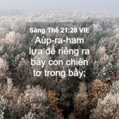 Picture 04 - Sáng Thế 21:28 VIE - Aùp-ra-ham lựa để riêng ra bảy con - Bible Verse Picture