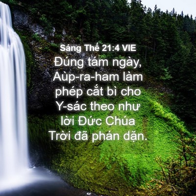 Picture 04 - Sáng Thế 21:4 VIE - Đúng tám ngày, Aùp-ra-ham làm phép cắt - Bible Verse Picture