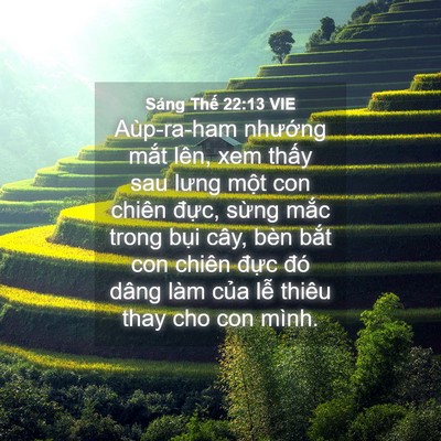 Picture 04 - Sáng Thế 22:13 VIE - Aùp-ra-ham nhướng mắt lên, xem thấy sau - Bible Verse Picture