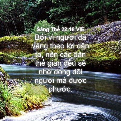 Picture 04 - Sáng Thế 22:18 VIE - Bởi vì ngươi đã vâng theo lời dặn ta, - Bible Verse Picture