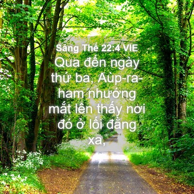 Picture 04 - Sáng Thế 22:4 VIE - Qua đến ngày thứ ba, Aùp-ra-ham nhướng - Bible Verse Picture