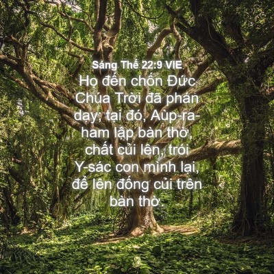 Picture 04 - Sáng Thế 22:9 VIE - Họ đến chốn Đức Chúa Trời đã phán - Bible Verse Picture