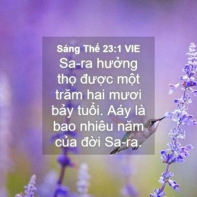 Picture 04 - Sáng Thế 23:1 VIE - Sa-ra hưởng thọ được một trăm hai - Bible Verse Picture