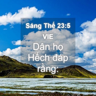 Picture 04 - Sáng Thế 23:5 VIE - Dân họ Hếch đáp - Bible Verse Picture