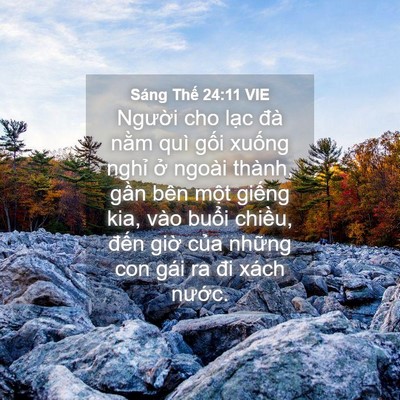 Picture 04 - Sáng Thế 24:11 VIE - Người cho lạc đà nằm quì gối xuống - Bible Verse Picture