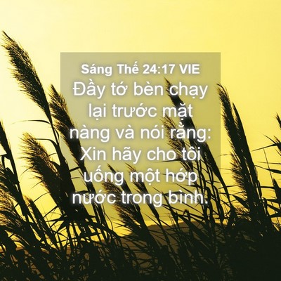 Picture 04 - Sáng Thế 24:17 VIE - Đầy tớ bèn chạy lại trước mặt - Bible Verse Picture