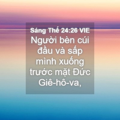 Picture 04 - Sáng Thế 24:26 VIE - Người bèn cúi đầu và sấp mình xuống - Bible Verse Picture