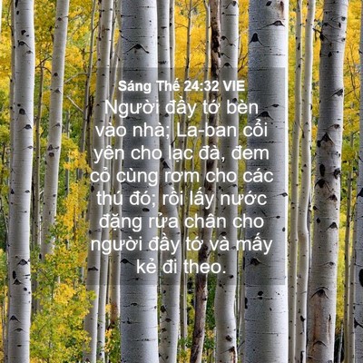 Picture 04 - Sáng Thế 24:32 VIE - Người đầy tớ bèn vào nhà; La-ban cổi - Bible Verse Picture