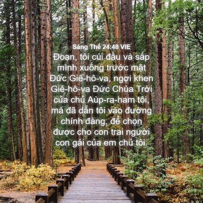 Picture 04 - Sáng Thế 24:48 VIE - Đoạn, tôi cúi đầu và sấp mình xuống - Bible Verse Picture