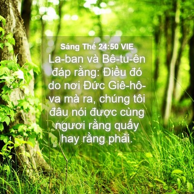 Picture 04 - Sáng Thế 24:50 VIE - La-ban và Bê-tu-ên đáp rằng: Điều đó - Bible Verse Picture