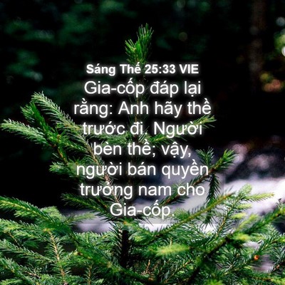 Picture 04 - Sáng Thế 25:33 VIE - Gia-cốp đáp lại rằng: Anh hãy thề - Bible Verse Picture