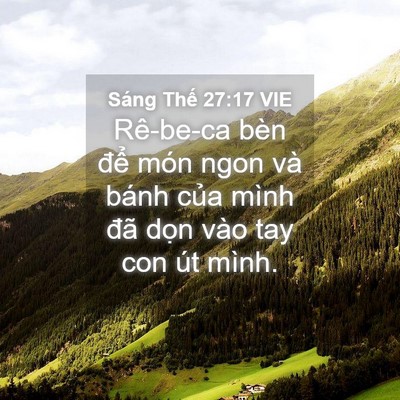 Picture 04 - Sáng Thế 27:17 VIE - Rê-be-ca bèn để món ngon và bánh của - Bible Verse Picture