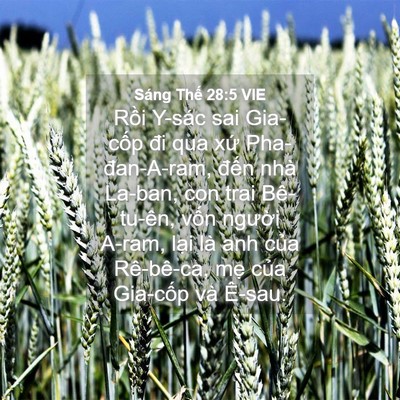 Picture 04 - Sáng Thế 28:5 VIE - Rồi Y-sác sai Gia-cốp đi qua xứ - Bible Verse Picture