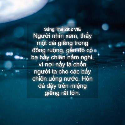 Picture 04 - Sáng Thế 29:2 VIE - Người nhìn xem, thấy một cái giếng - Bible Verse Picture