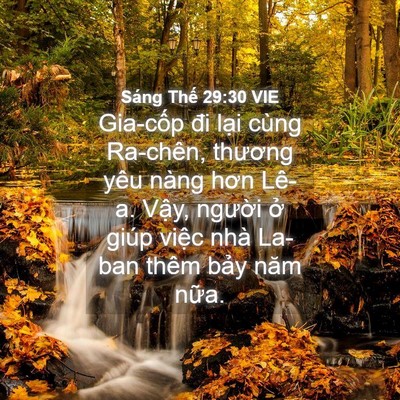 Picture 04 - Sáng Thế 29:30 VIE - Gia-cốp đi lại cùng Ra-chên, thương yêu - Bible Verse Picture