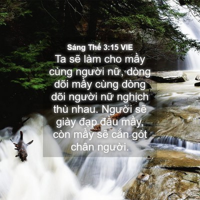Picture 04 - Sáng Thế 3:15 VIE - Ta sẽ làm cho mầy cùng người nữ, dòng - Bible Verse Picture
