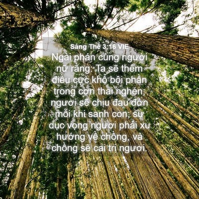 Picture 04 - Sáng Thế 3:16 VIE - Ngài phán cùng người nữ rằng: Ta sẽ - Bible Verse Picture