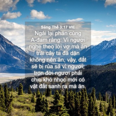 Picture 04 - Sáng Thế 3:17 VIE - Ngài lại phán cùng A-đam rằng: Vì - Bible Verse Picture