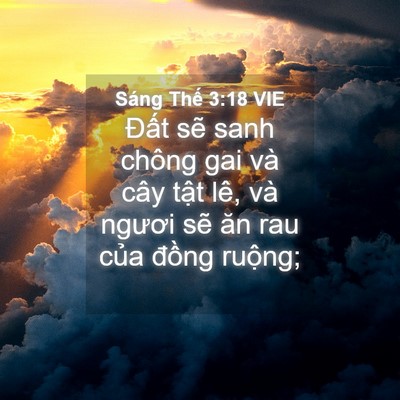 Picture 04 - Sáng Thế 3:18 VIE - Đất sẽ sanh chông gai và cây tật lê, - Bible Verse Picture