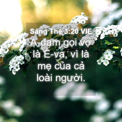 Picture 04 - Sáng Thế 3:20 VIE - A-đam gọi vợ là Ê-va, vì là mẹ của - Bible Verse Picture